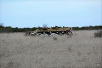 Sample Photo from Tank with UniqueID 1064