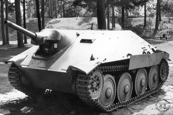 Sample Photo from Tank with UniqueID 247
