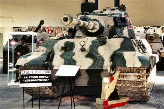 Sample Photo from Tank with UniqueID 216