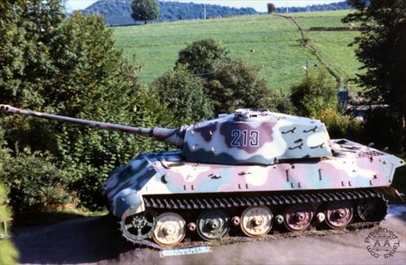 Sample Photo from Tank with UniqueID 218